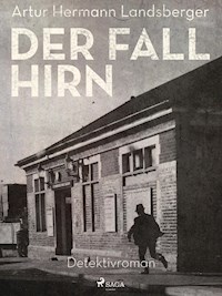 Der Fall Hirn - Artur Hermann Landsberger - ebook