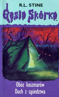 Gęsia skórka. Tom 9 i 10. Obóz koszmarów. Duch z sąsiedztwa - R L Stine - ebook