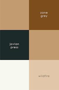 Wildfire - Grey Zane - ebook