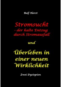 Stromsucht - der kalte Entzug durch Stromausfall und Überleben in einer neuen Wirklichkeit: Weltweite Flutkatastrophe, Klimawandel, Meteoriteneinschlag, Permakultur, Autismus, versunkene Städte - Rolf Horst - ebook