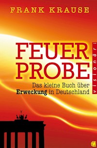Feuerprobe - Frank Krause - ebook