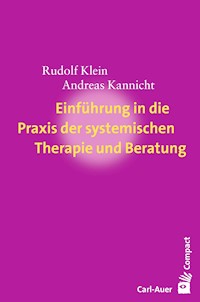 Einführung in die Praxis der systemischen Therapie und Beratung - Rudolf Klein - ebook