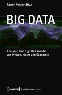 Big Data - - ebook