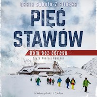 Pięć Stawów. Dom bez adresu - Beata Sabała-Zielińska - ebook + audiobook