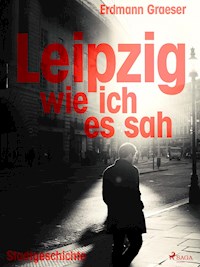 Leipzig - wie ich es sah - Erdmann Graeser - ebook