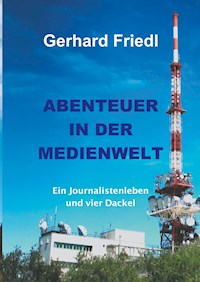 Abendteuer in der Medienwelt - Friedl Gerhard - ebook
