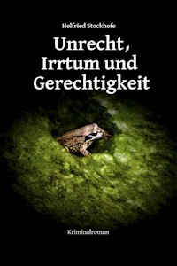Unrecht, Irrtum und Gerechtigkeit - Helfried Stockhofe - ebook