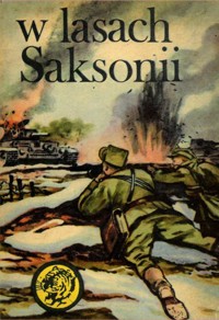 W lasach Saksonii - Waldemar Kotowicz - ebook