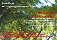 Patient Europe: a case for psychiatry? No! Release the handbrake, the hedgehog posture after Corona. - Dieter Mende - ebook