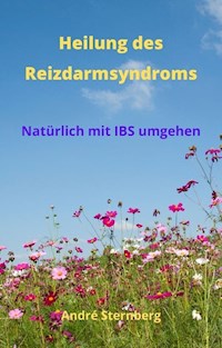 Heilung des Reizdarmsyndroms - Andre Sternberg - ebook