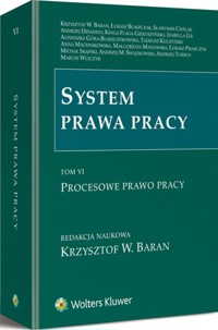 System prawa pracy Tom 6 -  - książka