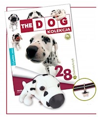 Dalmatyńczyk -  - książka