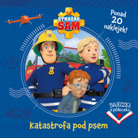 Bajeczki z półeczki. Katastrofa pod psem. Strażak Sam - zbiorowa praca - książka