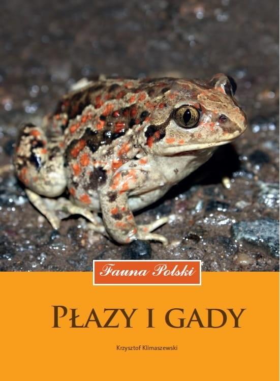 Płazy i gady. Fauna Polski - Klimaszewski Krzysztof - książka