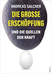 Die große Erschöpfung - Andreas Salcher - ebook
