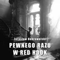 Pewnego razu w Red Hook - Dobrowolski Jarosław - audiobook