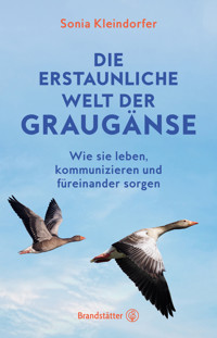 Die erstaunliche Welt der Graugänse - Sonia Kleindorfer - ebook