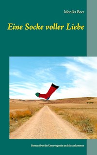 Eine Socke voller Liebe - Monika Beer - ebook