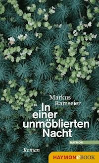 In einer unmöblierten Nacht - Markus Ramseier - ebook