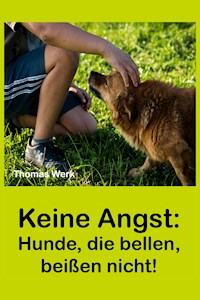 Keine Angst: - Thomas Werk - ebook