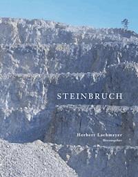 Steinbruch - Herbert Lachmayer - ebook