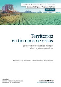 Territorios en tiempos de crisis - Ariel García - ebook