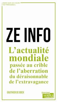 ZE info - Gauthier De Bock - ebook
