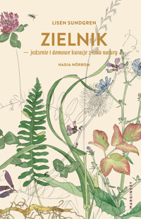 Zielnik - Lisen Sundgren - książka