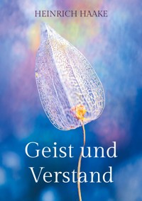 Geist und Verstand - Heinrich Haake - ebook