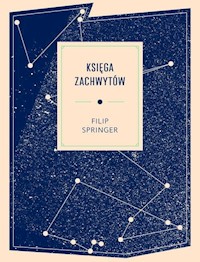Księga zachwytów - Filip Springer - książka