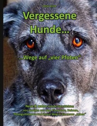 Vergessene Hunde - Stefan Klink - ebook