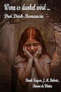Wenn es dunkel wird ... - Dinah Kayser - ebook
