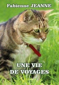 Une vie de voyages - Fabienne Jeanne - ebook