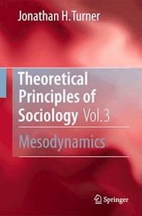 Theoretical Principles of Sociology, Volume 3 - Jonathan H. Turner - ebook