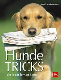 Hundetricks - Angela Wegmann - ebook