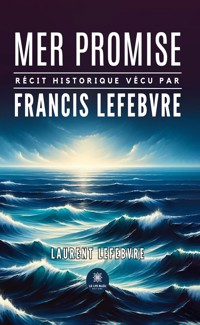 Mer promise - Laurent Lefebvre - ebook