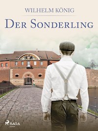 Der Sonderling - Wilhelm König - ebook