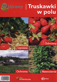 ABC uprawy Truskawki w polu -  - książka