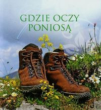 Gdzie oczy poniosą 11 - Błażejczak Malwina - książka