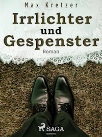 Irrlichter und Gespenster - Max Kretzer - ebook