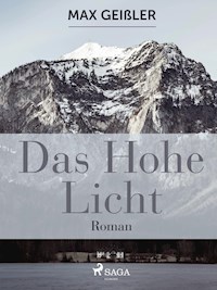 Das hohe Licht - Max Geißler - ebook