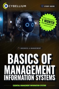 Basics of Management Information Systems - Cybellium - ebook