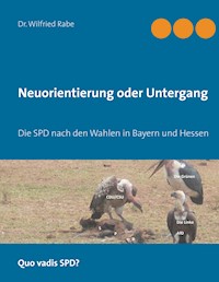 Neuorientierung oder Untergang - Wilfried Rabe - ebook