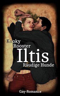 Iltis - Kooky Rooster - ebook