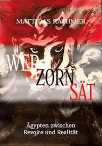 Wer Zorn sät - Matthias Rathmer - ebook