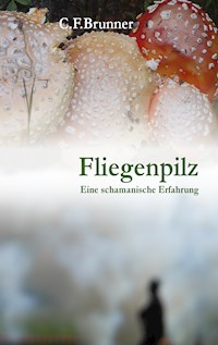 Fliegenpilz - Christian Friedrich Brunner - ebook