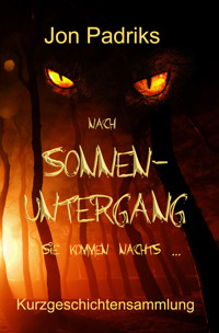 Nach Sonnenuntergang - Jon Padriks - ebook