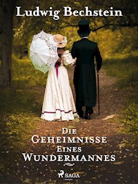 Die Geheimnisse eines Wundermannes - Ludwig Bechstein - ebook