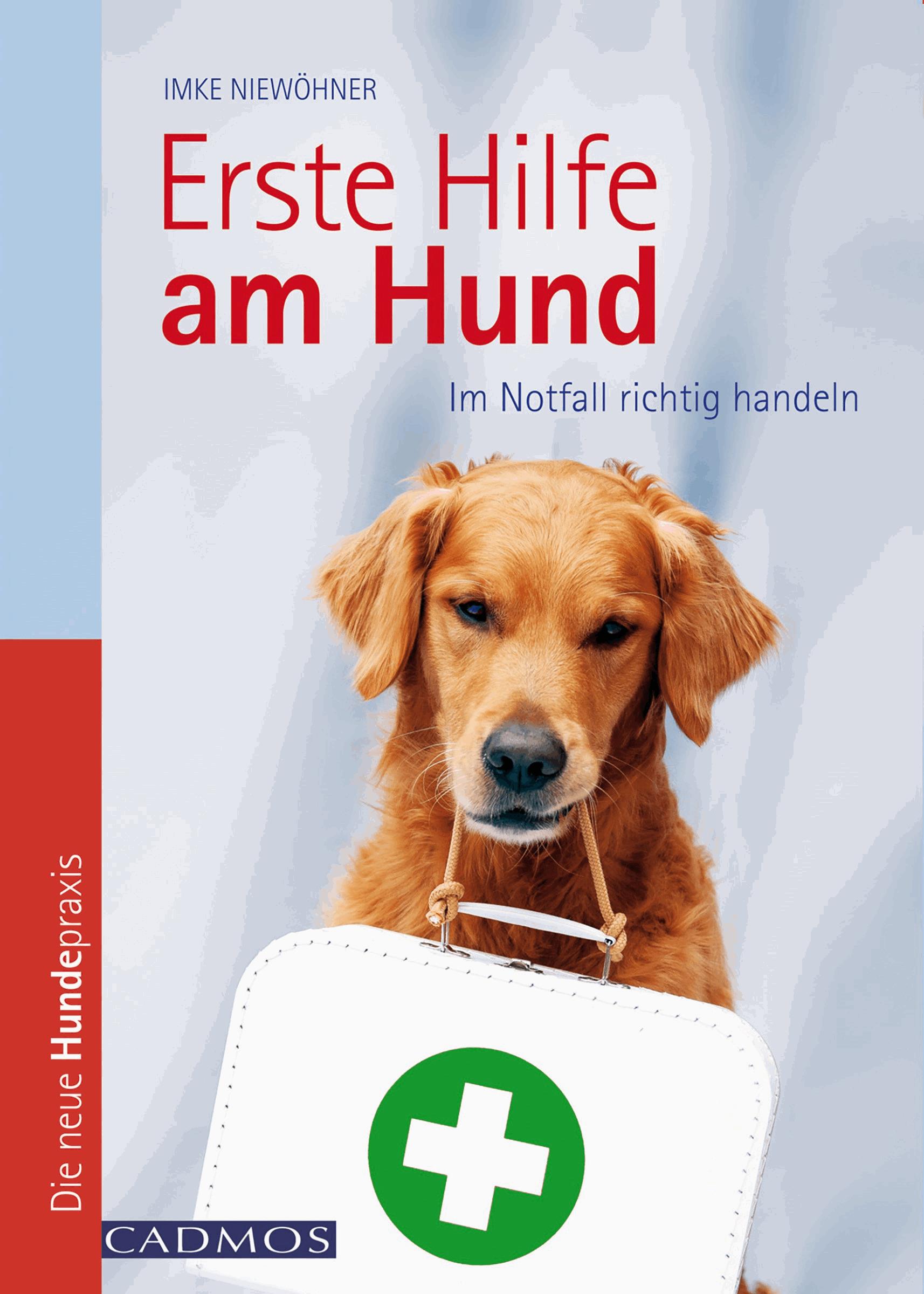 Erste Hilfe am Hund
