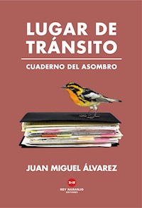 Lugar de tránsito - Juan Miguel Álvarez - ebook